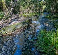 Dawson River walking track - Accommodation QLD