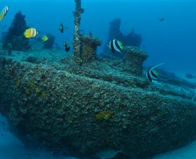 Curtain Artificial Reef Dive Site - Accommodation QLD 1