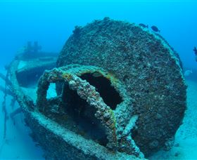 Curtain Artificial Reef Dive Site - Accommodation QLD 3