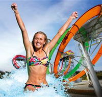 Wet'n'Wild Gold Coast - Accommodation QLD