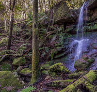 Coorabakh National Park - Accommodation QLD