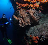 Gotham City Dive Site - Accommodation QLD