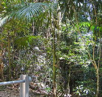 Goorgana walking track - Accommodation QLD
