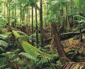 Murwillumbah NSW Accommodation QLD