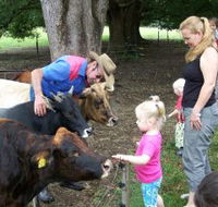 Crystal Creek Miniatures - Accommodation QLD