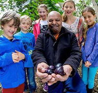 Wigay Aboriginal Culture Park - Accommodation QLD