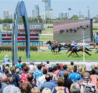 Gold Coast Turf Club - Accommodation QLD