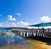 Kayaking Wagonga Inlet Narooma - Accommodation QLD