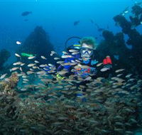 Aarhus Dive Site - Accommodation QLD