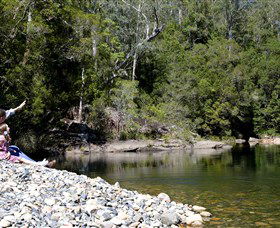 Mount Boss State Forest - Accommodation QLD 0