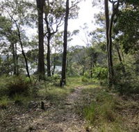 Ringlands Rotary Walk Narooma - Accommodation QLD