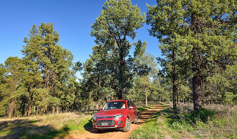 Booti Booti NSW Accommodation QLD