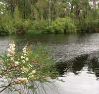 Wallingat National Park - Accommodation QLD