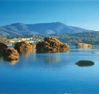 Wagonga Picnic Area - Accommodation QLD