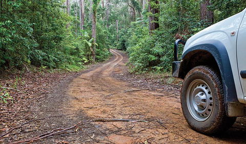 Ulidarra National Park - Accommodation QLD 2