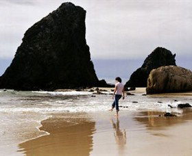 Glasshouse Rocks And Pillow Lava - Accommodation QLD 1
