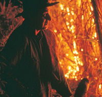 The Shed Gallery - Accommodation QLD