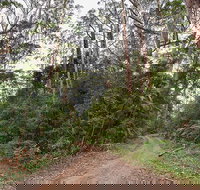 End Peak walking track - Accommodation QLD