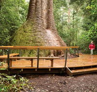 Burrawan State Forest - Accommodation QLD