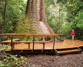 Burrawan State Forest - Accommodation QLD 0