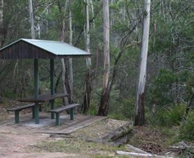 White Rock River Picnic Area - Accommodation QLD 0