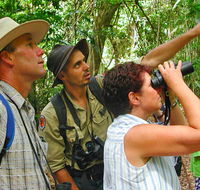 Falls walking track - Accommodation QLD