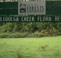 Woolgoolga Creek Flora Reserve - Accommodation QLD