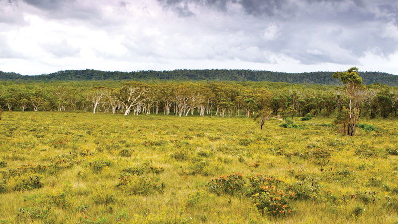 Minnie Water NSW Accommodation QLD