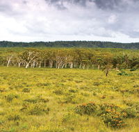 Yuraygir National Park - Accommodation QLD