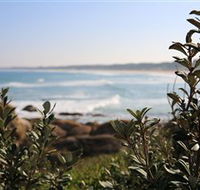 Cape Conran Nature Trail - Accommodation QLD