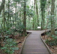 Victoria Park boardwalk - Accommodation QLD