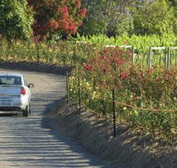 Cassegrain Wines - Accommodation QLD