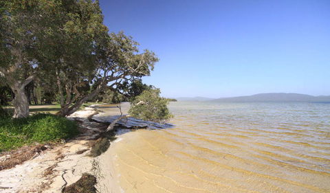 Booti Booti National Park - Accommodation QLD 1