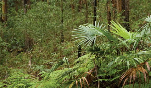 Booti Booti National Park - Accommodation QLD 2
