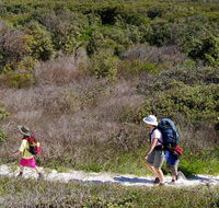 Yuraygir coastal walk - Accommodation QLD