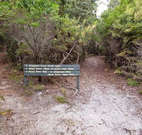Angophora grove walking track - Accommodation QLD