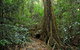 Iluka Nature Reserve - thumb 2