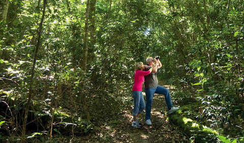 Iluka Nature Reserve - Accommodation QLD 0