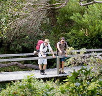 Wilsons Headland walking track - Accommodation QLD