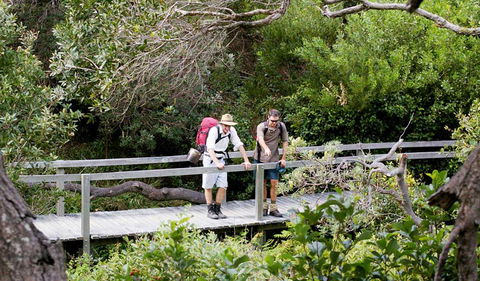 Wilsons Headland Walking Track - Accommodation QLD 0