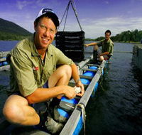 Armstrong Oysters - Accommodation QLD