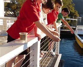 Dunbogan Boatshed - Accommodation QLD 3