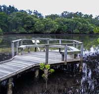 Walk on Water walking track - Accommodation QLD