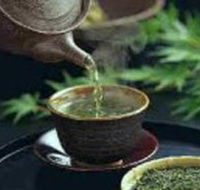 World Par-TEA - Accommodation QLD