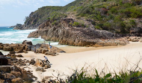 Little Bay Beach - Accommodation QLD 3