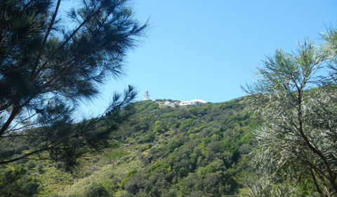 Jack Perkins Walking Track - Accommodation QLD 3