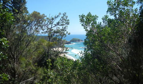 Jack Perkins Walking Track - Accommodation QLD 1