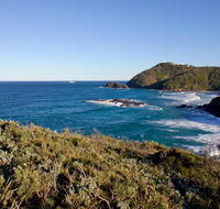 Smoky Cape walking track - Accommodation QLD
