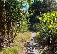 North Head walking track - Accommodation QLD