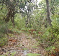 Kinchela Trig Lookout walk - Accommodation QLD